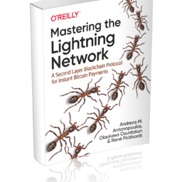 Mastering the Lightning Network