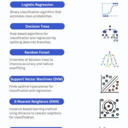 Top 10 Machine Learning Algorithms You Should Know in 2025