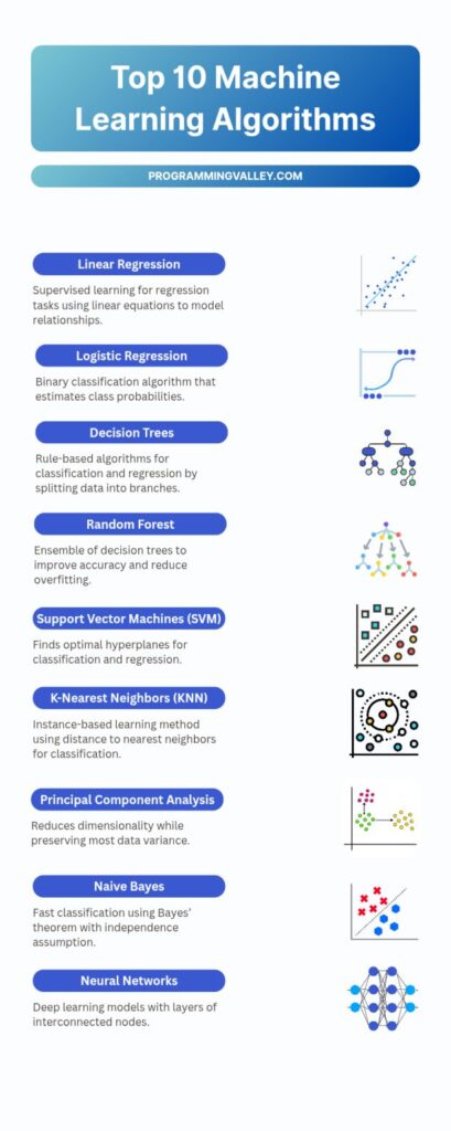 Top 10 Machine Learning Algorithms You Should Know in 2025