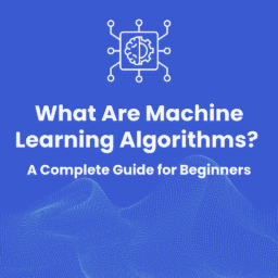 What Are Machine Learning Algorithms_ A Complete Guide for Beginners